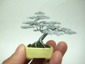 Một số cách làm mô hình cây thu nhỏ